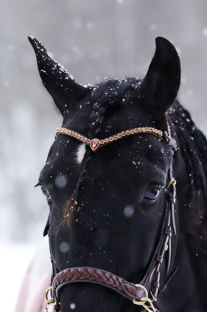 Masego Horsewear Golden Burgundy Browband - MASEGO horsewear - Equiluxe Tack