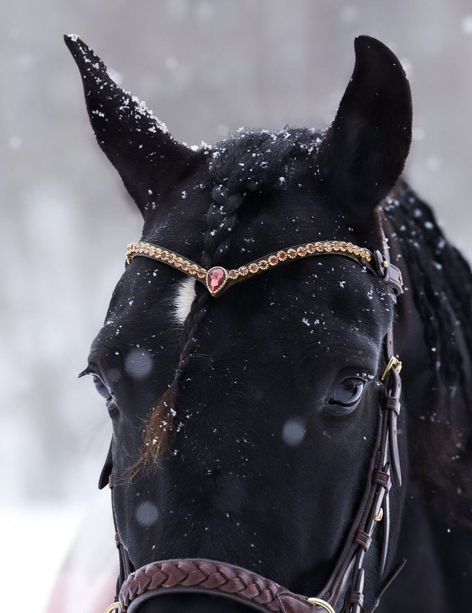 Masego Horsewear Golden Burgundy Browband - MASEGO horsewear - Equiluxe Tack