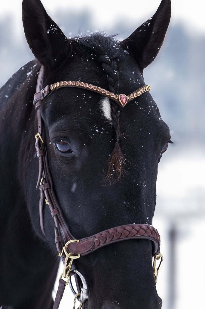 Masego Horsewear Golden Burgundy Browband - MASEGO horsewear - Equiluxe Tack