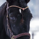 Masego Horsewear Golden Burgundy Browband - MASEGO horsewear - Equiluxe Tack