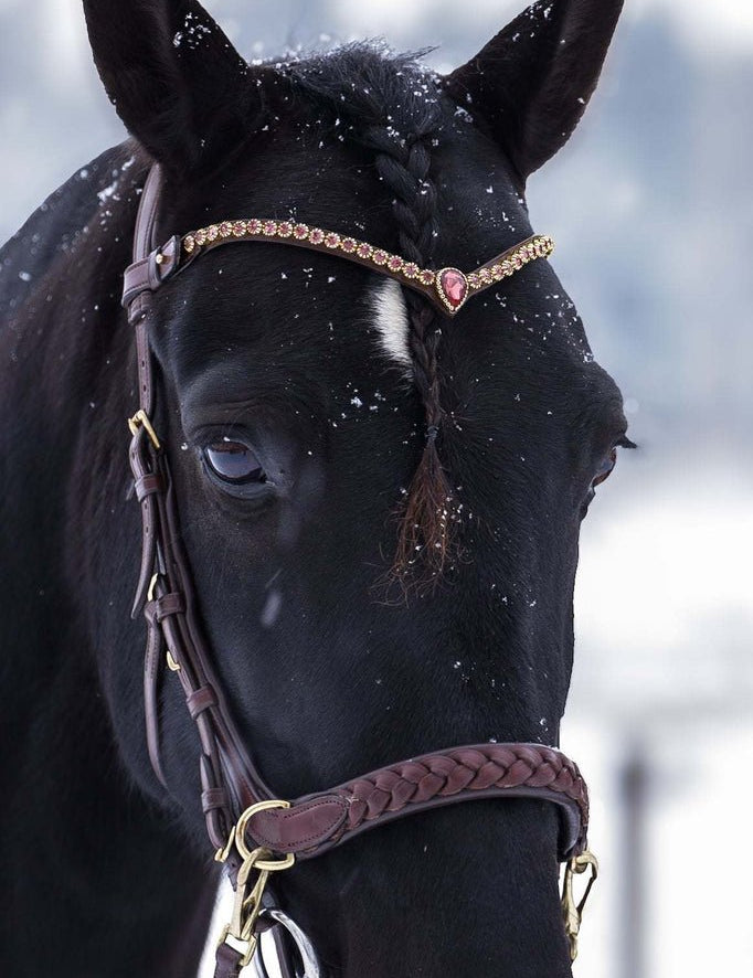 Masego Horsewear Golden Burgundy Browband - MASEGO horsewear - Equiluxe Tack