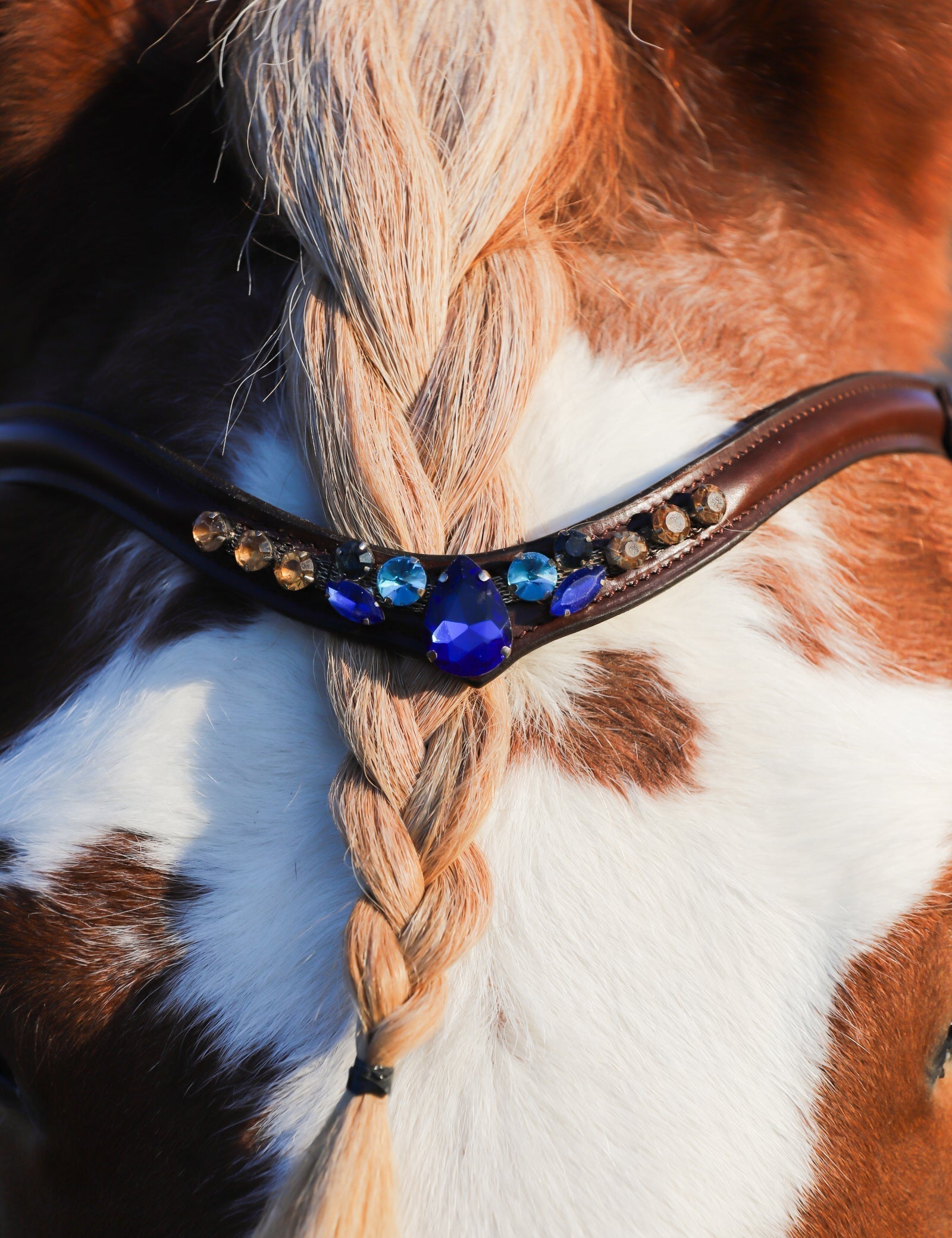 Masego Horsewear Golden Indigo Browband - MASEGO horsewear - Equiluxe Tack