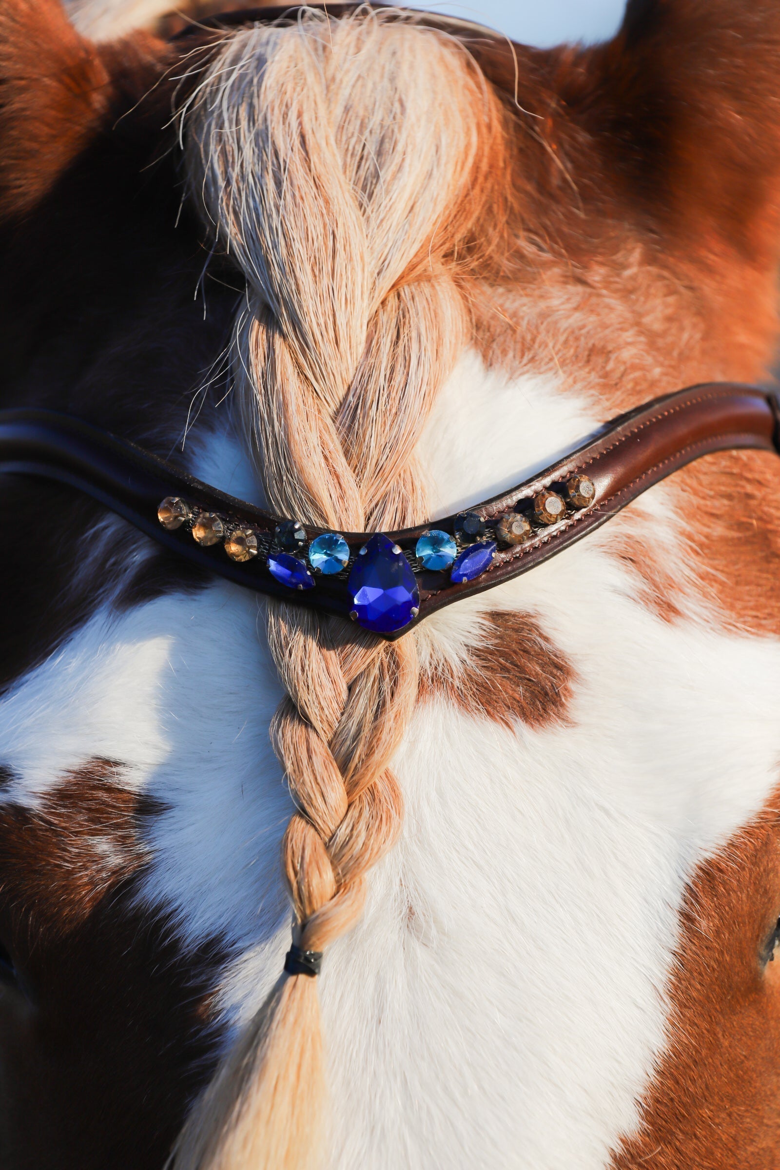 Masego Horsewear Golden Indigo Browband - MASEGO horsewear - Equiluxe Tack