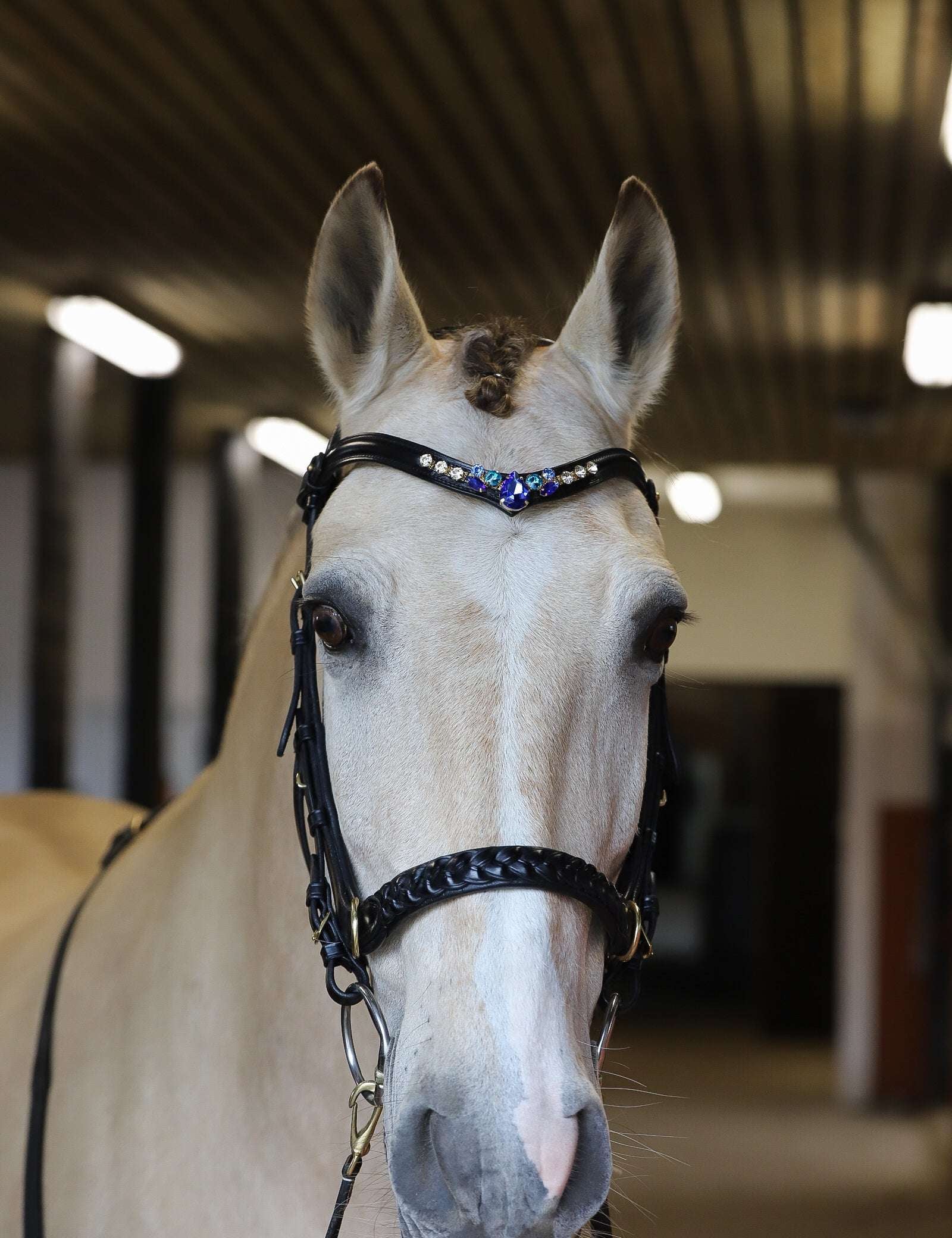 Masego Horsewear Indigo Starling Browband - MASEGO horsewear - Equiluxe Tack