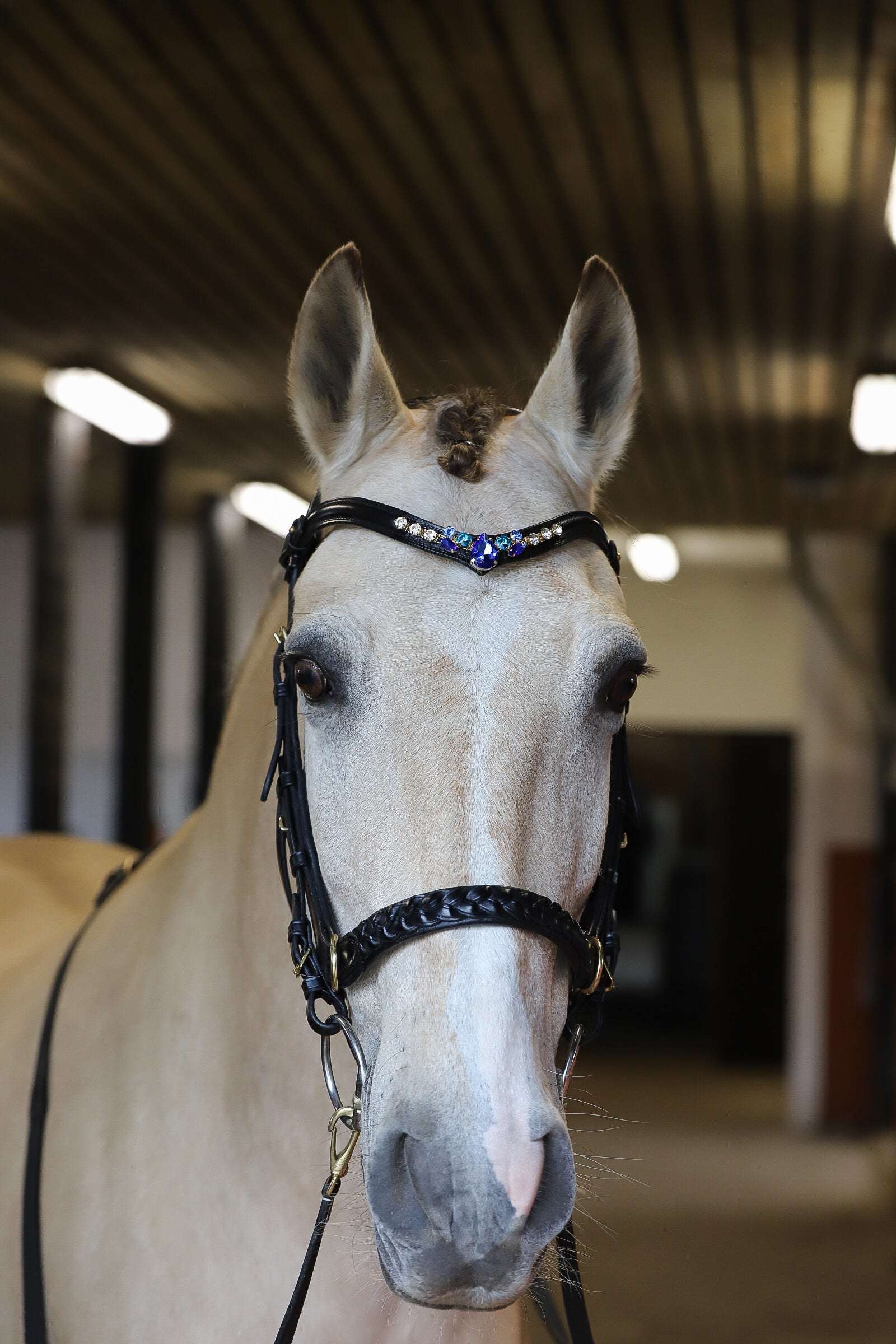 Masego Horsewear Indigo Starling Browband - MASEGO horsewear - Equiluxe Tack