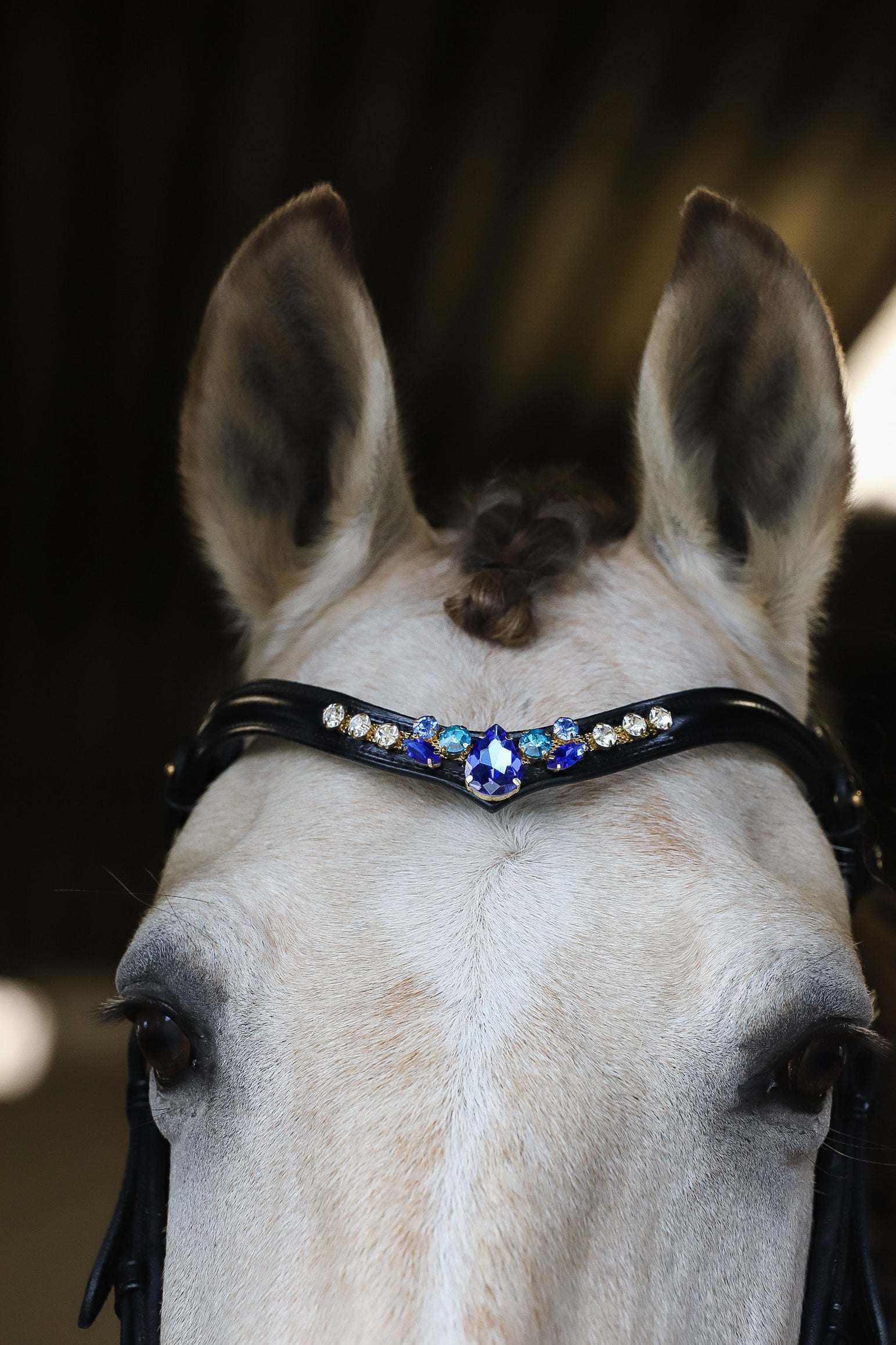 Masego Horsewear Indigo Starling Browband - MASEGO horsewear - Equiluxe Tack