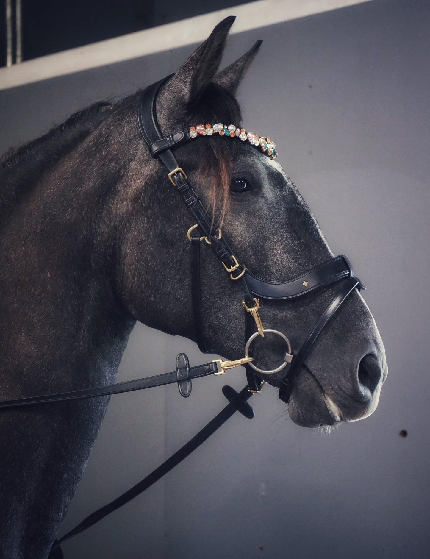 Masego Horsewear Italian Leather Lily Multi - Bridle - Brown, Full - MASEGO horsewear - Equiluxe Tack