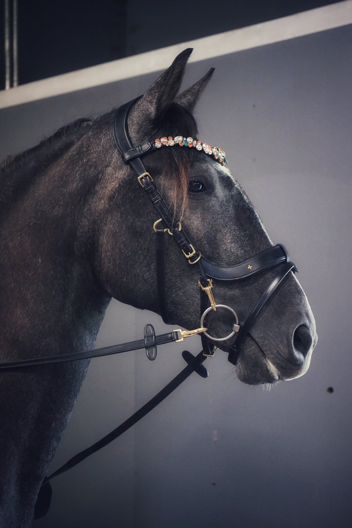 Masego Horsewear Italian Leather Lily Multi - Bridle - Brown, Full - MASEGO horsewear - Equiluxe Tack