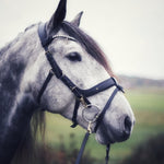 Masego Horsewear Italian Leather Lily Multi - Bridle - Brown, Full - MASEGO horsewear - Equiluxe Tack