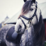 Masego Horsewear Italian Leather Lily Multi - Bridle - Brown, Full - MASEGO horsewear - Equiluxe Tack