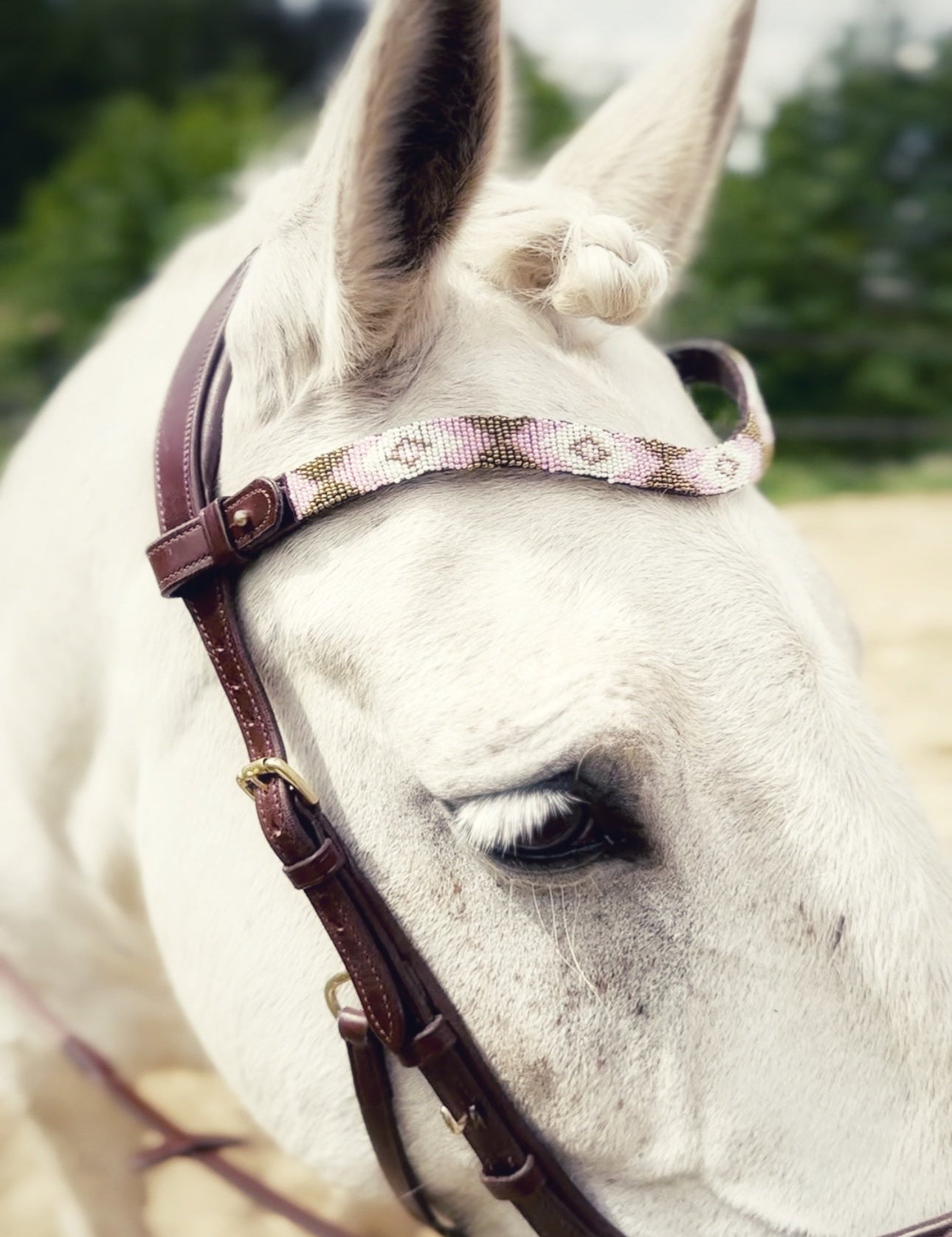 Masego Horsewear May Browband - MASEGO horsewear - Equiluxe Tack