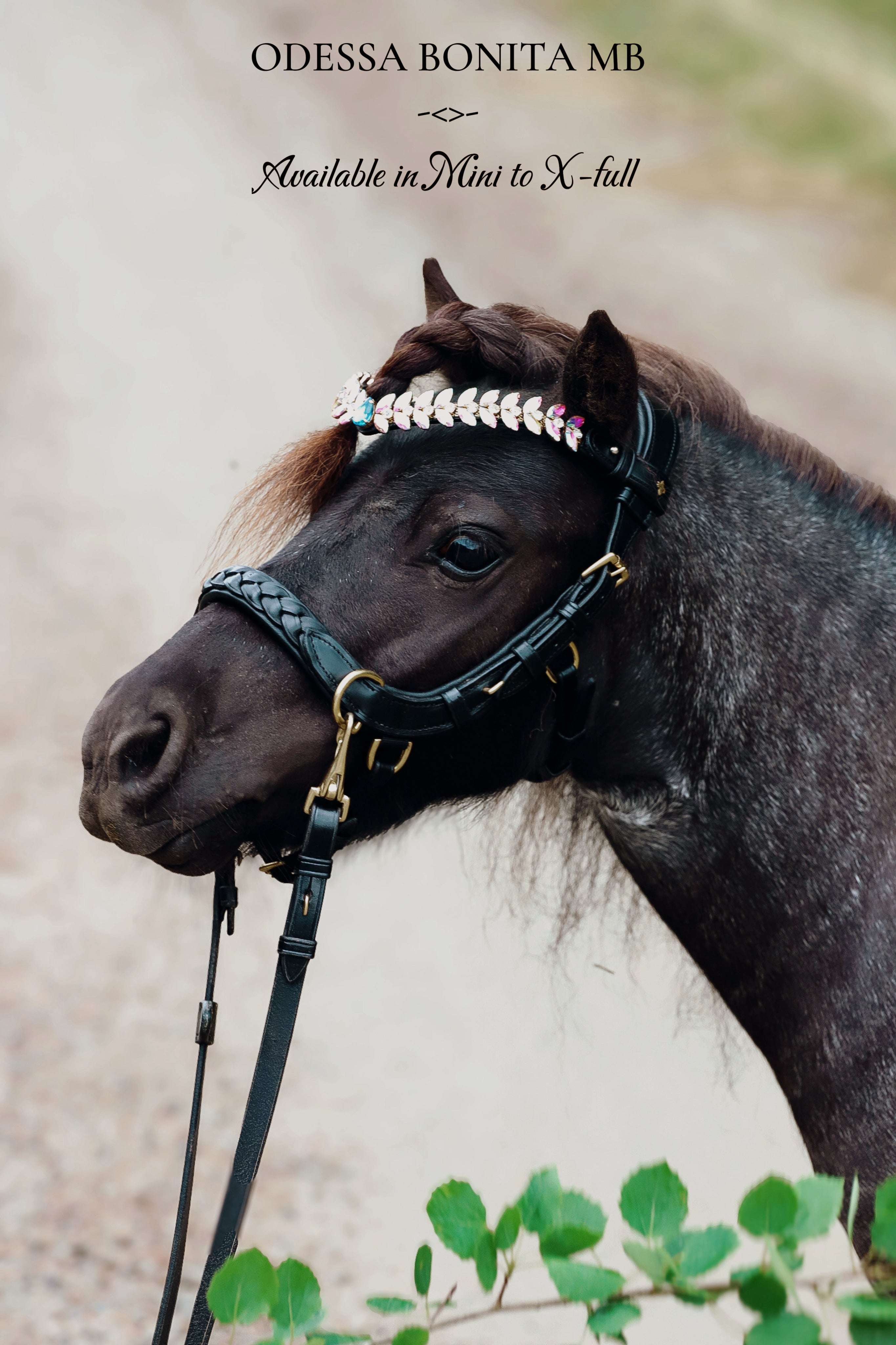Masego Horsewear Odessa Bonita Multi Bridle Padded - MASEGO horsewear - Equiluxe Tack