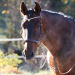 Masego Horsewear Odessa Bonita Multi Bridle Padded - MASEGO horsewear - Equiluxe Tack