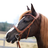 Masego Horsewear Odessa Bonita Multi Bridle Padded - MASEGO horsewear - Equiluxe Tack