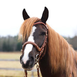 Masego Horsewear Odessa Bonita Multi Bridle Padded - MASEGO horsewear - Equiluxe Tack