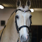 Masego Horsewear Odessa Bonita Multi Bridle Padded - MASEGO horsewear - Equiluxe Tack