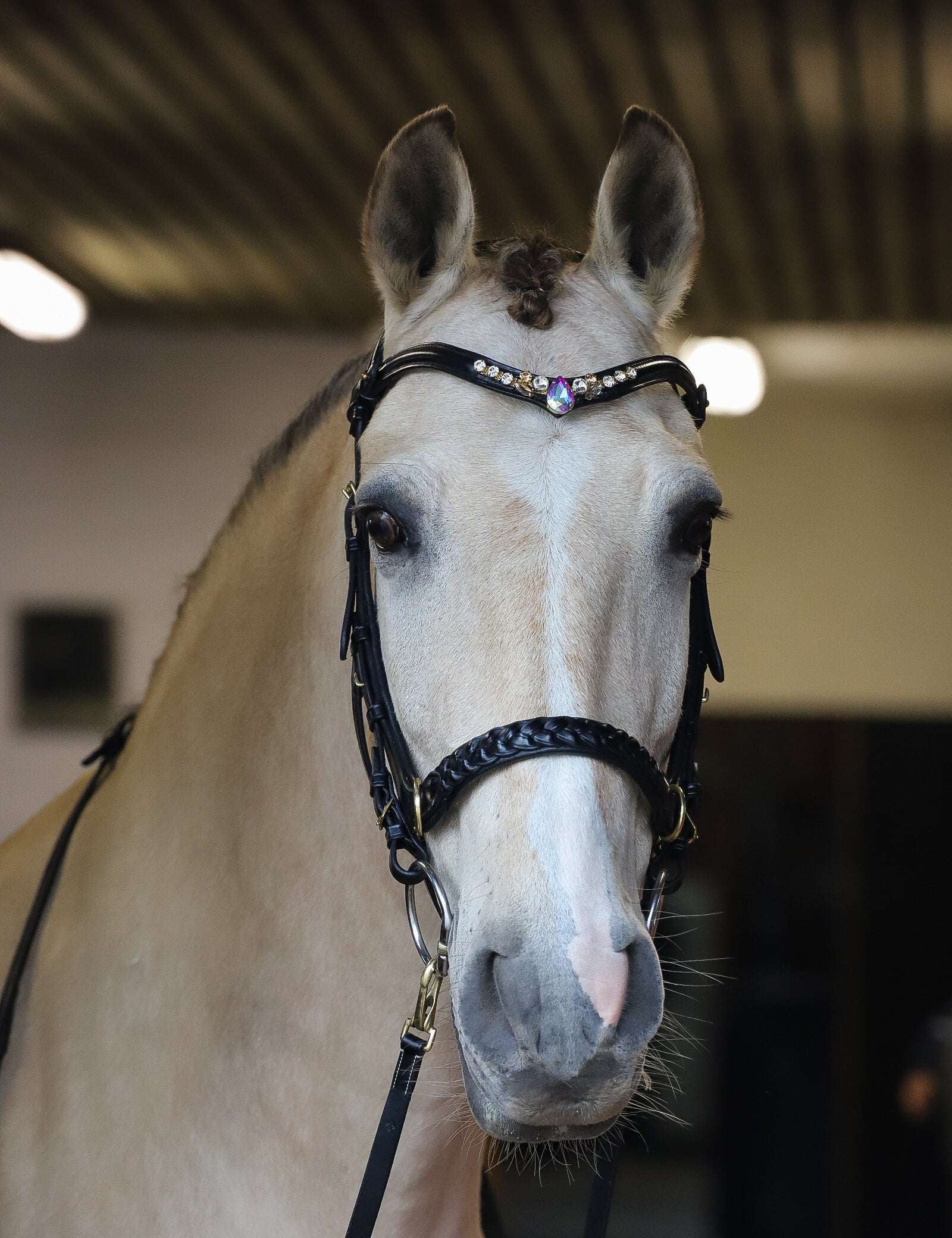 Masego Horsewear Odessa Bonita Multi Bridle Padded - MASEGO horsewear - Equiluxe Tack