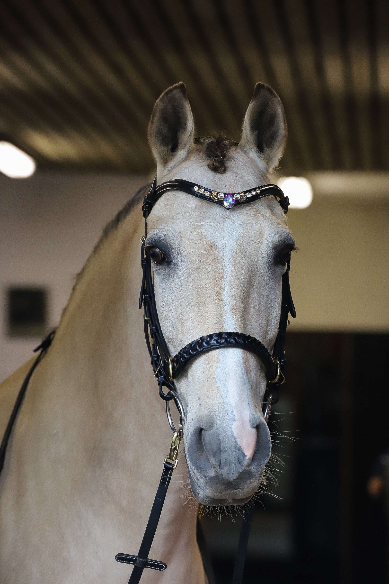 Masego Horsewear Odessa Bonita Multi Bridle Padded - MASEGO horsewear - Equiluxe Tack