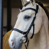 Masego Horsewear Odessa Bonita Multi Bridle Padded - MASEGO horsewear - Equiluxe Tack