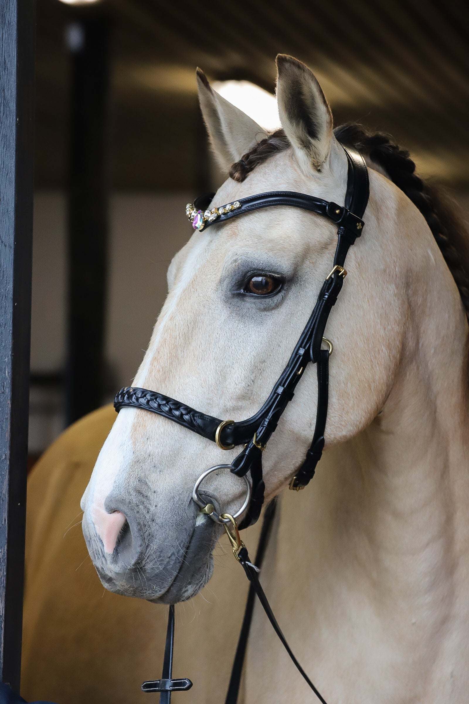 Masego Horsewear Odessa Bonita Multi Bridle Padded - MASEGO horsewear - Equiluxe Tack
