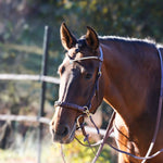 Masego Horsewear Odessa Bonita Multi Bridle Padded - MASEGO horsewear - Equiluxe Tack