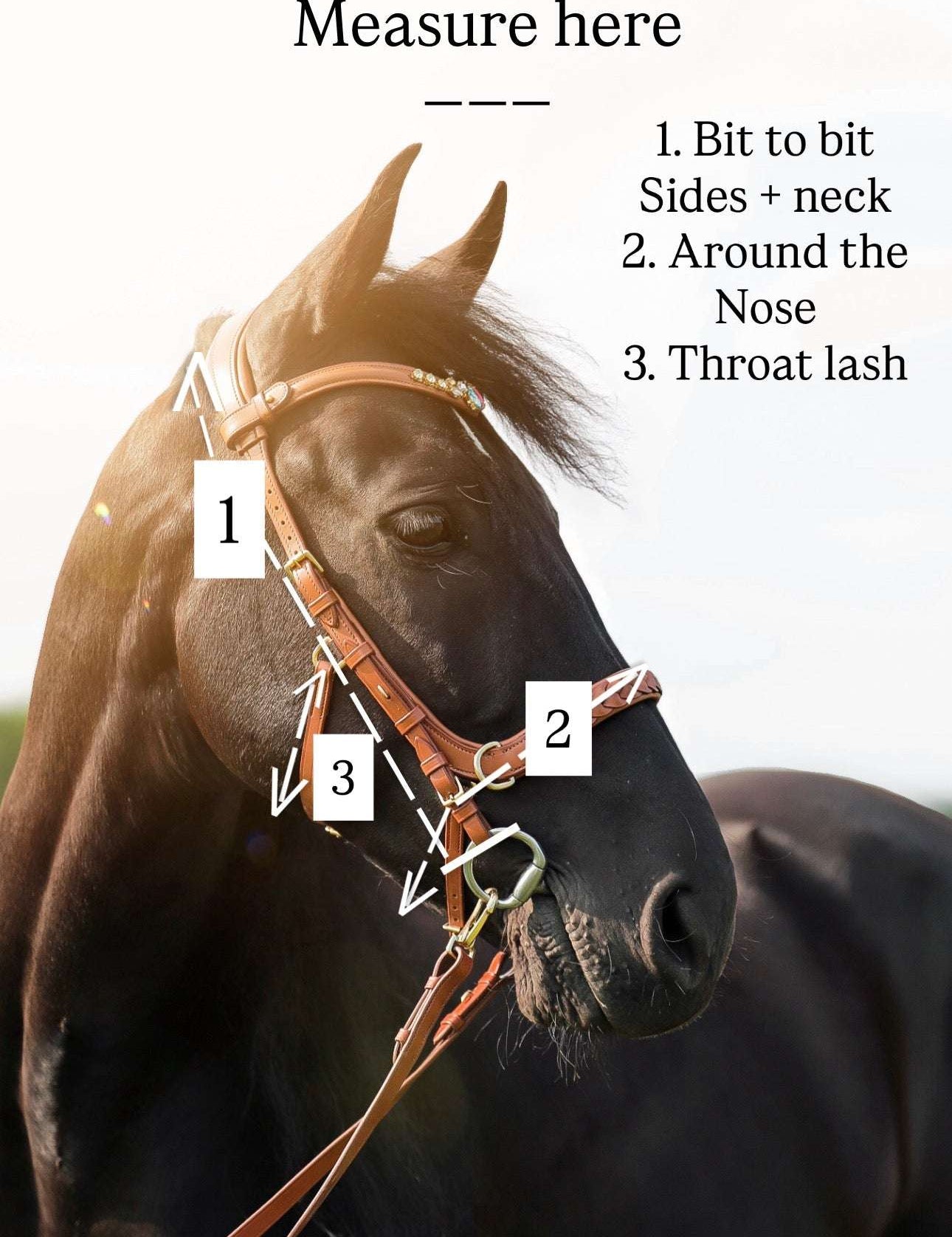 Masego Horsewear Odessa Bonita Multi Bridle Padded - SILVER - MASEGO horsewear - Equiluxe Tack