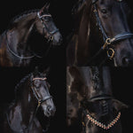 Masego Horsewear Oliander Multi Bridle - MASEGO horsewear - Equiluxe Tack