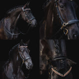 Masego Horsewear Oliander Multi Bridle - MASEGO horsewear - Equiluxe Tack