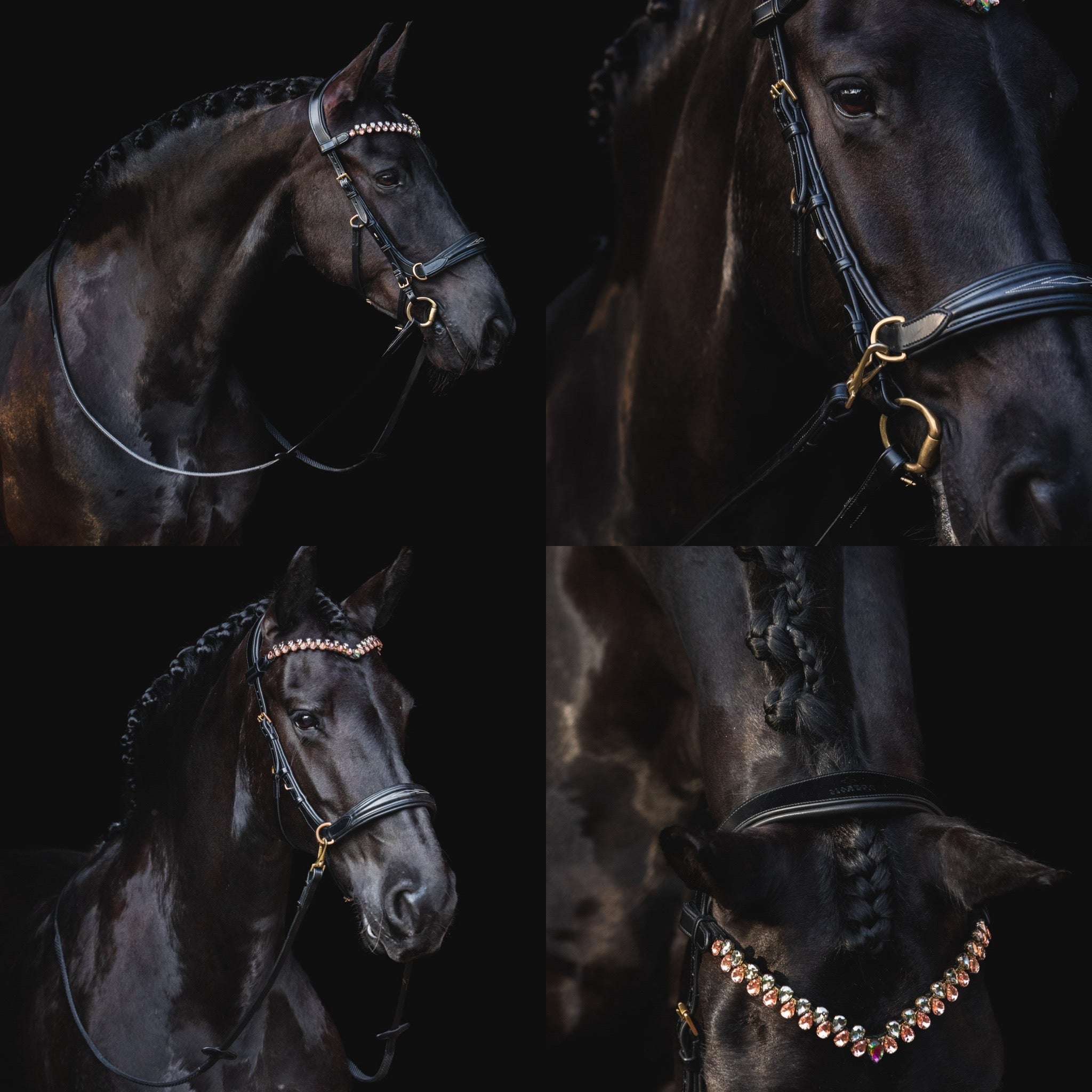 Masego Horsewear Oliander Multi Bridle - MASEGO horsewear - Equiluxe Tack