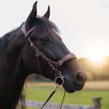 Masego Horsewear Oliander Multi Bridle - MASEGO horsewear - Equiluxe Tack