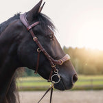 Masego Horsewear Oliander Multi Bridle - MASEGO horsewear - Equiluxe Tack
