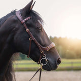 Masego Horsewear Oliander Multi Bridle - MASEGO horsewear - Equiluxe Tack