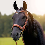 Masego Horsewear Oliander Multi Bridle - MASEGO horsewear - Equiluxe Tack