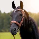 Masego Horsewear Oliander Multi Bridle - MASEGO horsewear - Equiluxe Tack