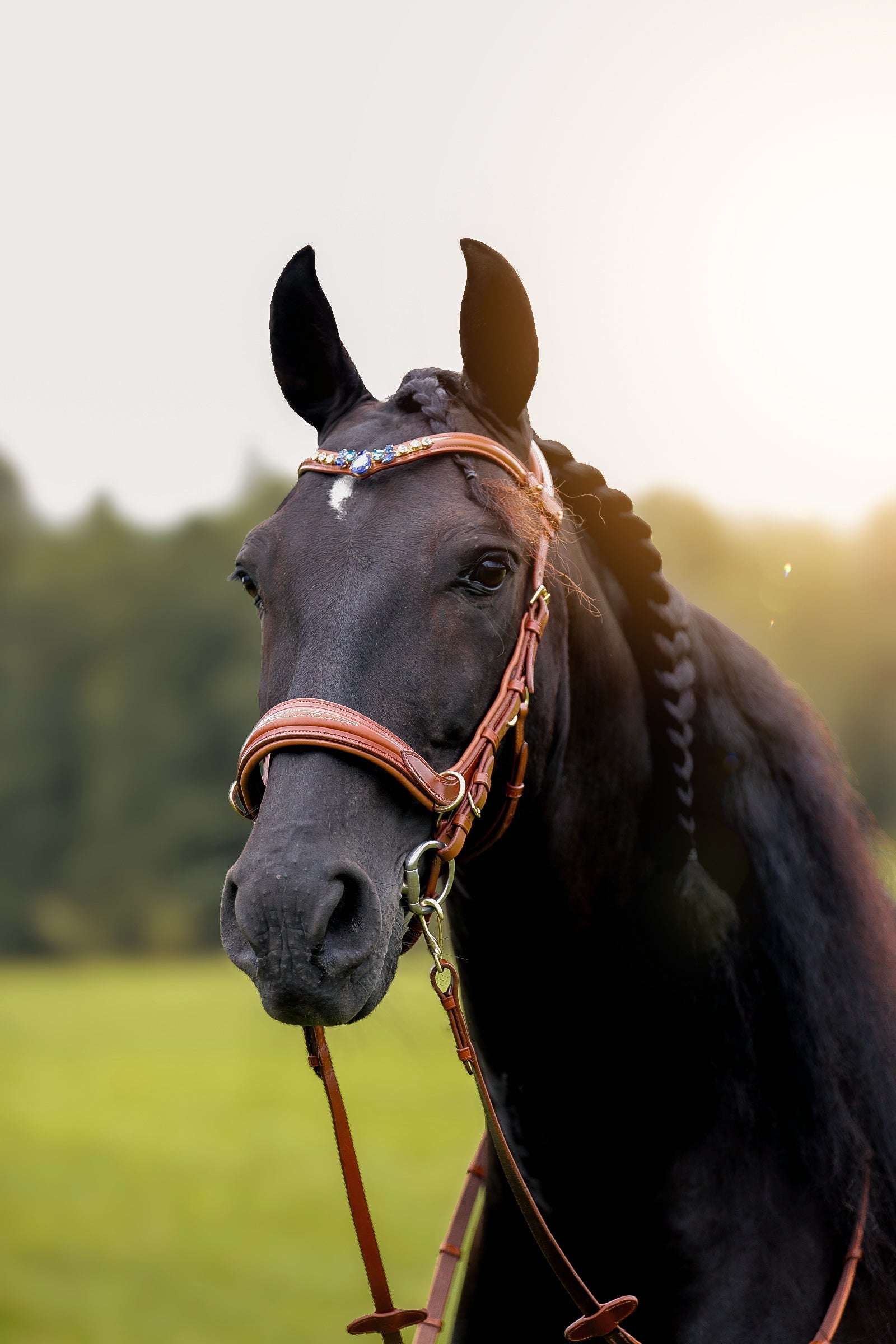 Masego Horsewear Oliander Multi Bridle - MASEGO horsewear - Equiluxe Tack