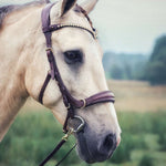 Masego Horsewear Oliander Multi Bridle - MASEGO horsewear - Equiluxe Tack