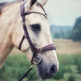 Masego Horsewear Oliander Multi Bridle - MASEGO horsewear - Equiluxe Tack