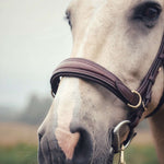Masego Horsewear Oliander Multi Bridle - MASEGO horsewear - Equiluxe Tack