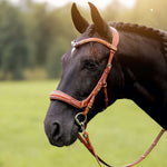 Masego Horsewear Oliander Multi Bridle - MASEGO horsewear - Equiluxe Tack
