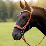 Masego Horsewear Oliander Multi Bridle - MASEGO horsewear - Equiluxe Tack