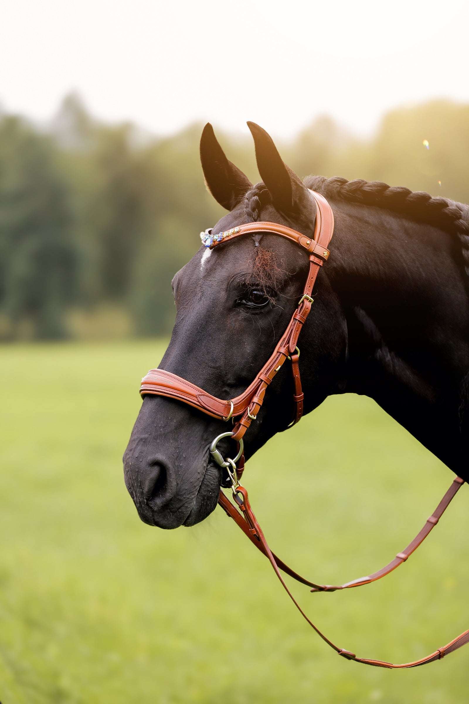 Masego Horsewear Oliander Multi Bridle - MASEGO horsewear - Equiluxe Tack