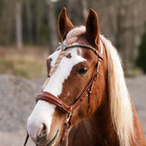 Masego Horsewear Oliander Multi Bridle - MASEGO horsewear - Equiluxe Tack