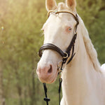 Masego Horsewear Oliander Multi Bridle - SILVER - MASEGO horsewear - Equiluxe Tack