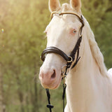 Masego Horsewear Oliander Multi Bridle - SILVER - MASEGO horsewear - Equiluxe Tack