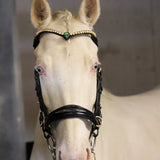 Masego Horsewear Oliander Multi Bridle - SILVER - MASEGO horsewear - Equiluxe Tack