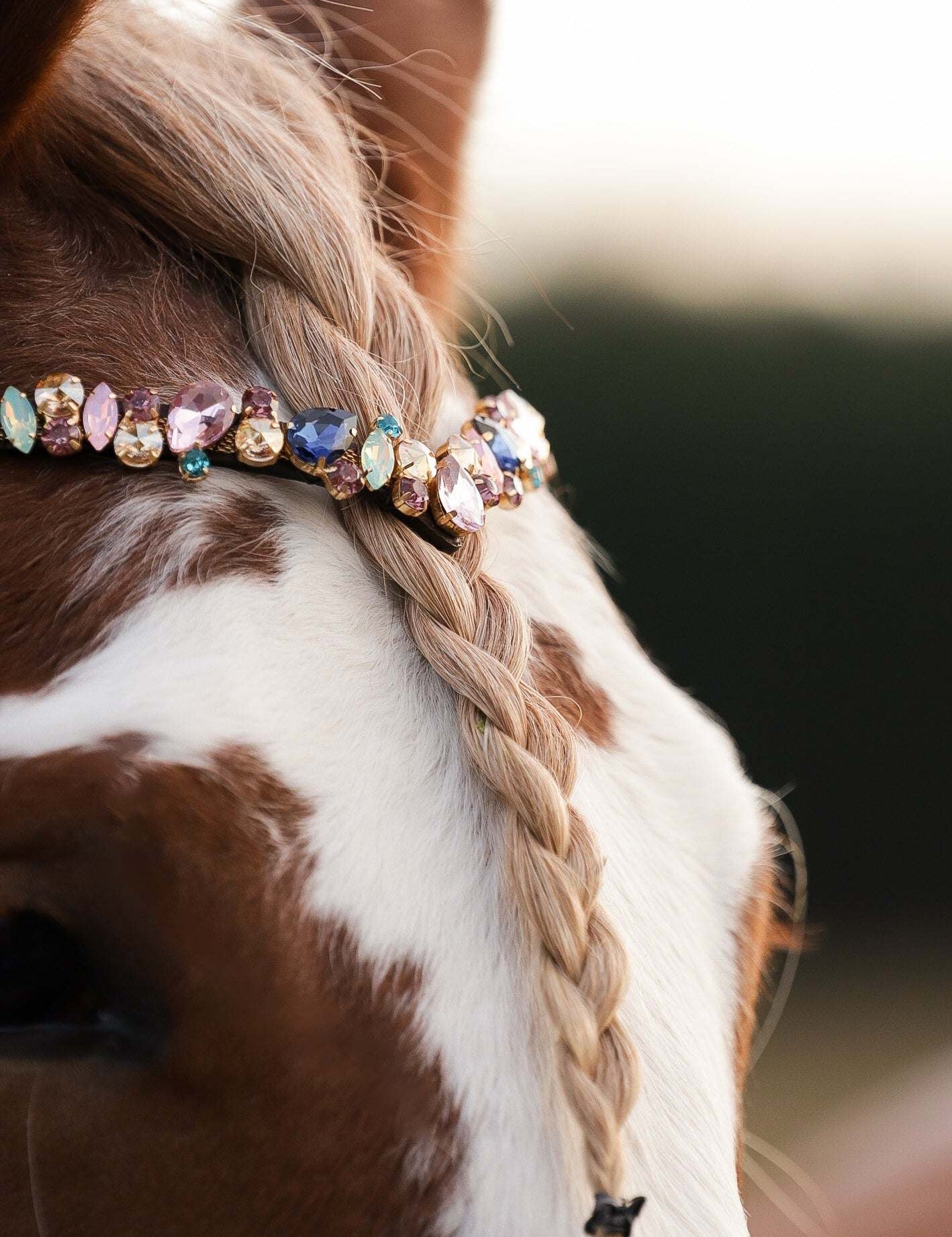 Masego Horsewear Pastel Royal Browband - MASEGO horsewear - Equiluxe Tack