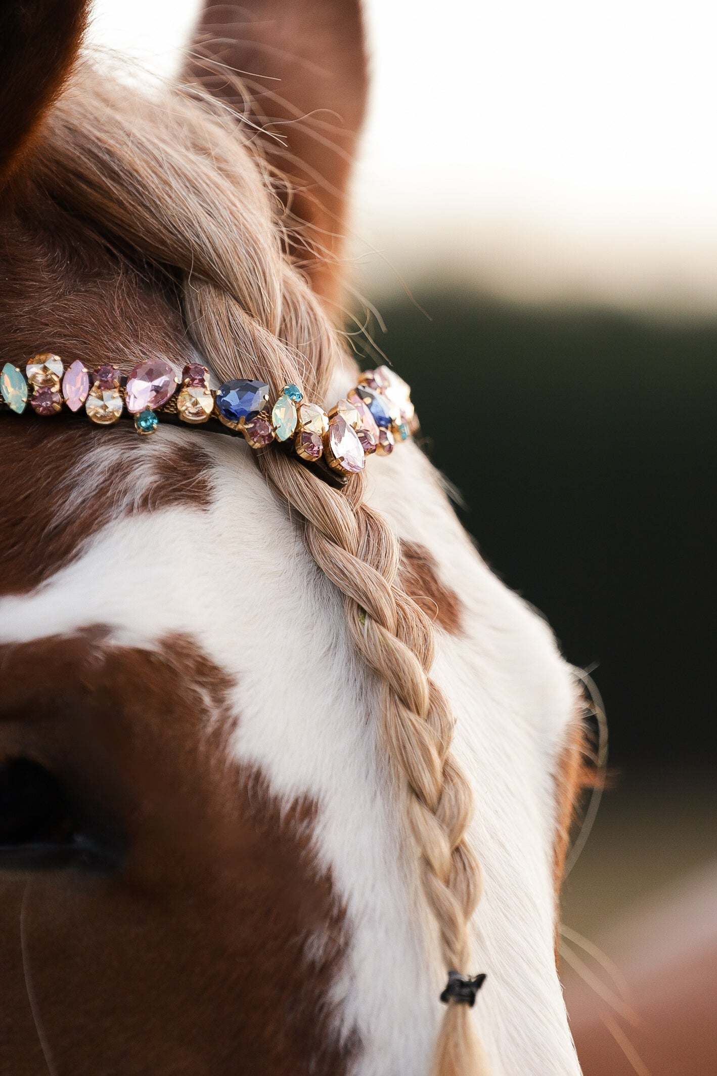 Masego Horsewear Pastel Royal Browband - MASEGO horsewear - Equiluxe Tack