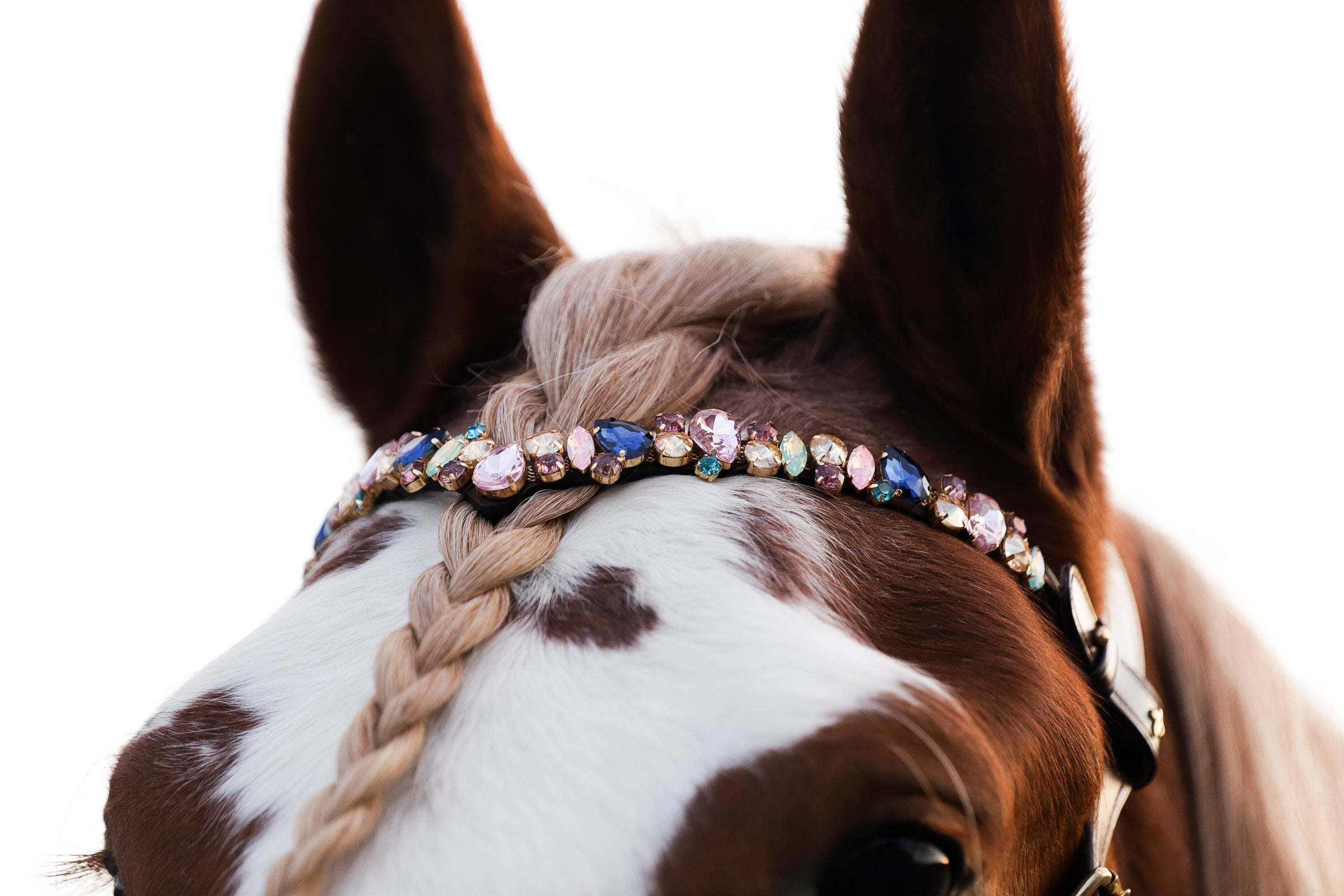 Masego Horsewear Pastel Royal Browband - MASEGO horsewear - Equiluxe Tack