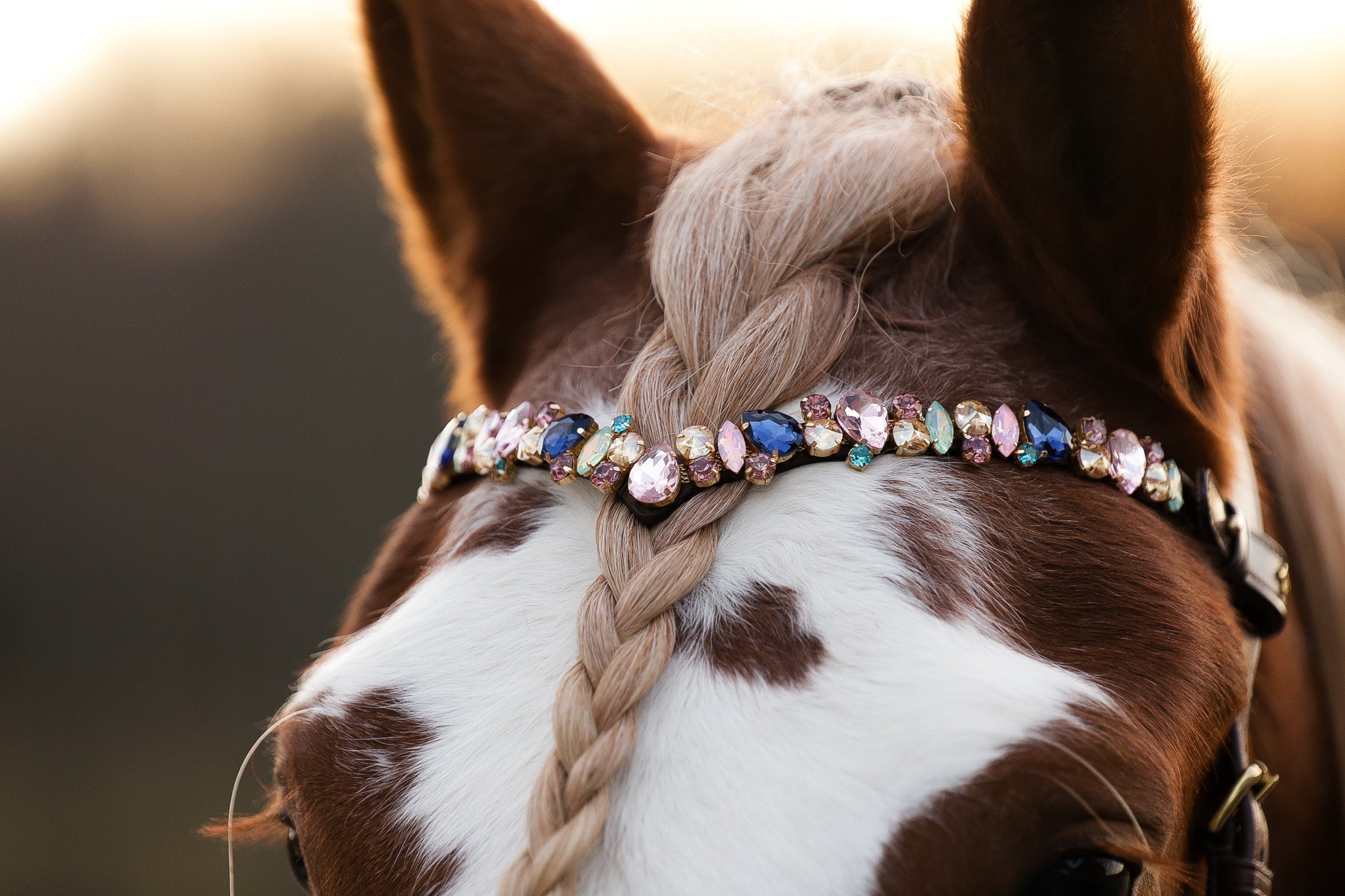 Masego Horsewear Pastel Royal Browband - MASEGO horsewear - Equiluxe Tack