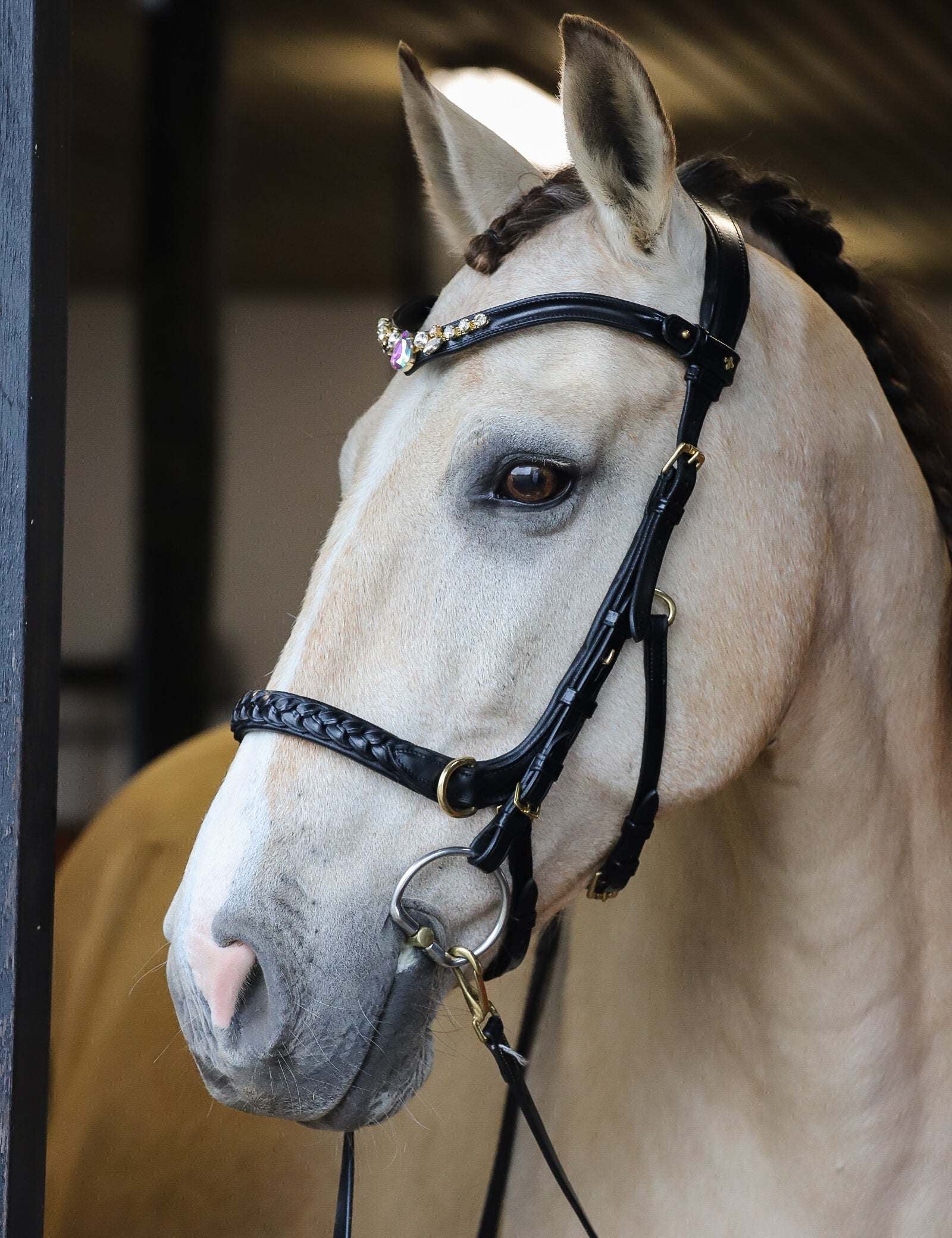 Masego Horsewear Rose Dove Browband - MASEGO horsewear - Equiluxe Tack